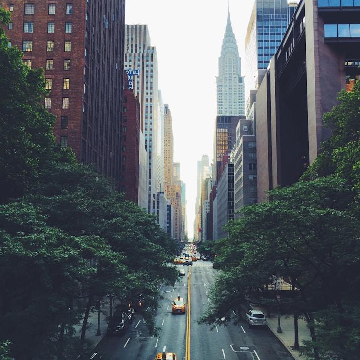 Sophie de Vries - Expat family life guide in Netherlands